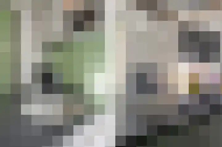 Orteliuslaan 3 Waalwijk thumbnail 12