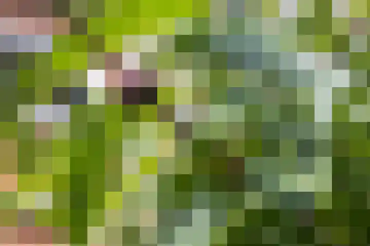 Orteliuslaan 3 Waalwijk thumbnail 28