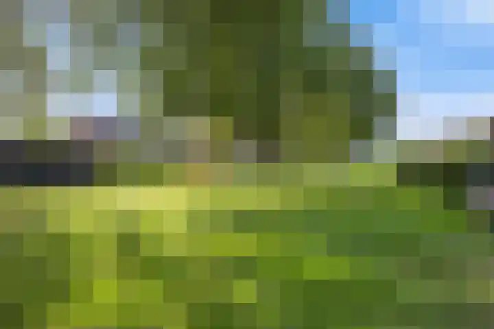 Orteliuslaan 3 Waalwijk thumbnail 35