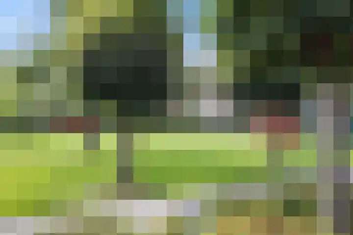 Orteliuslaan 3 Waalwijk thumbnail 37