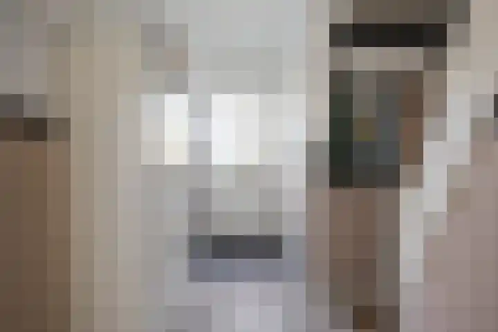 Orteliuslaan 3 Waalwijk thumbnail 6