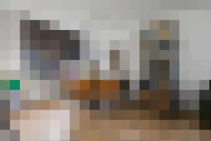 Orteliuslaan 3 Waalwijk thumbnail 9