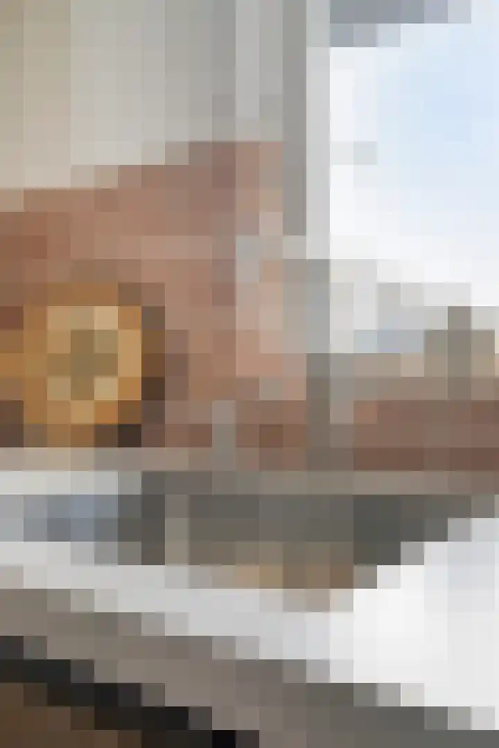 Orteliuspad 68 Hoek van Holland thumbnail 18