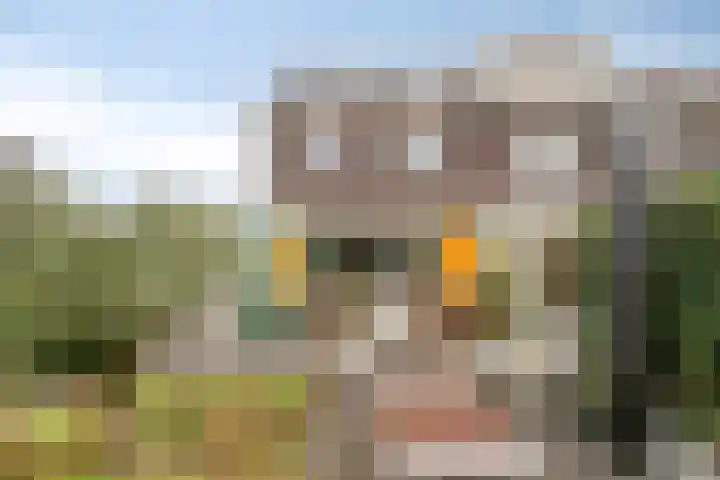 Orteliuspad 68 Hoek van Holland thumbnail 5