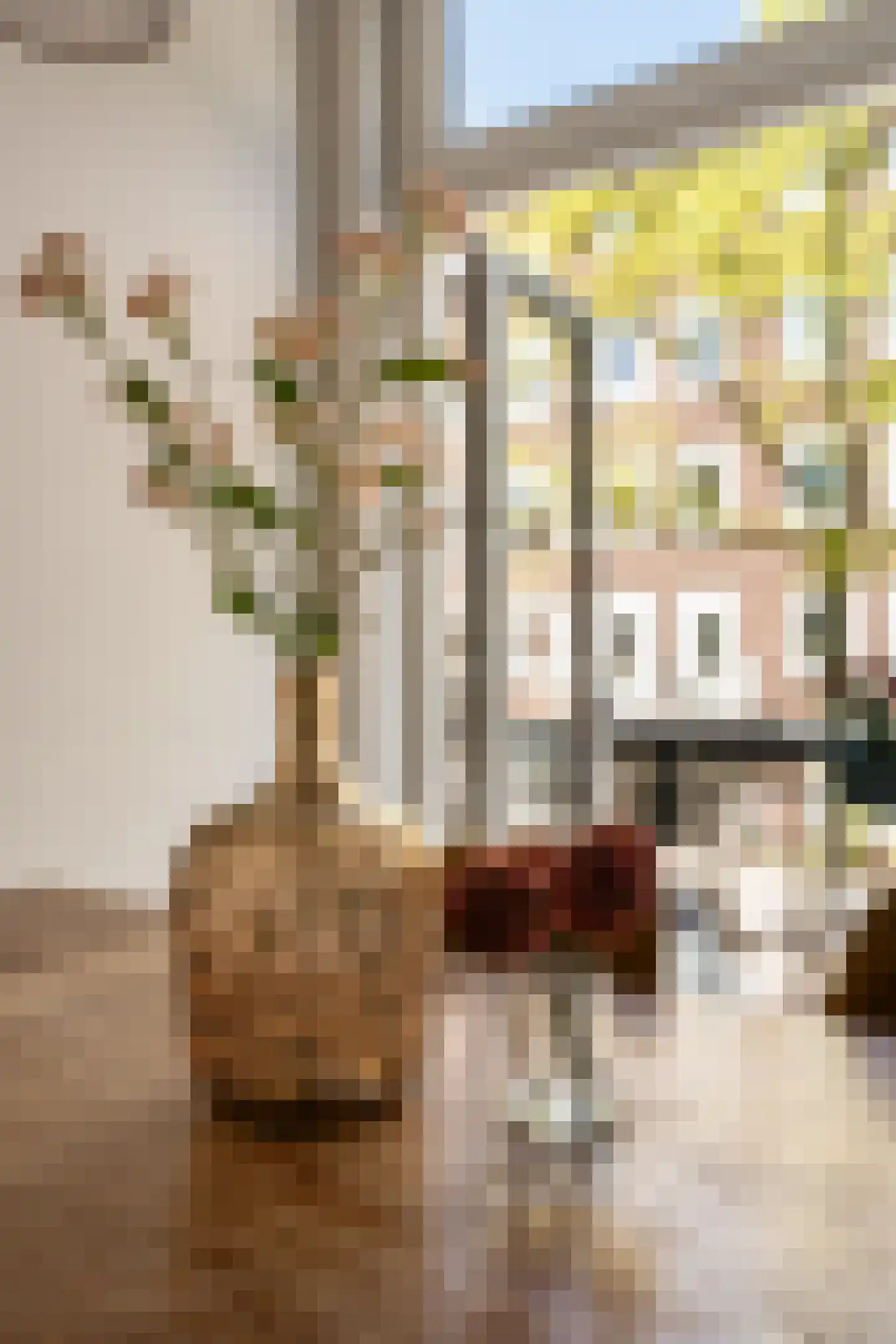Orteliusstraat 100 1 Amsterdam thumbnail 11
