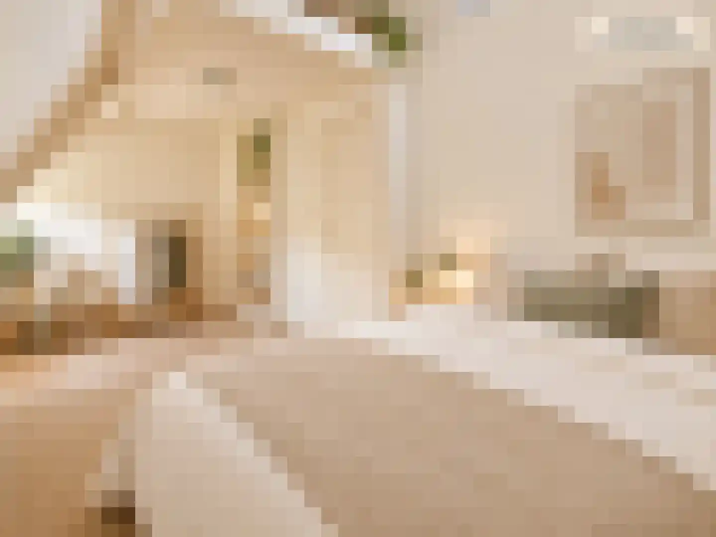 Orteliusstraat 12 2 Amsterdam thumbnail 22