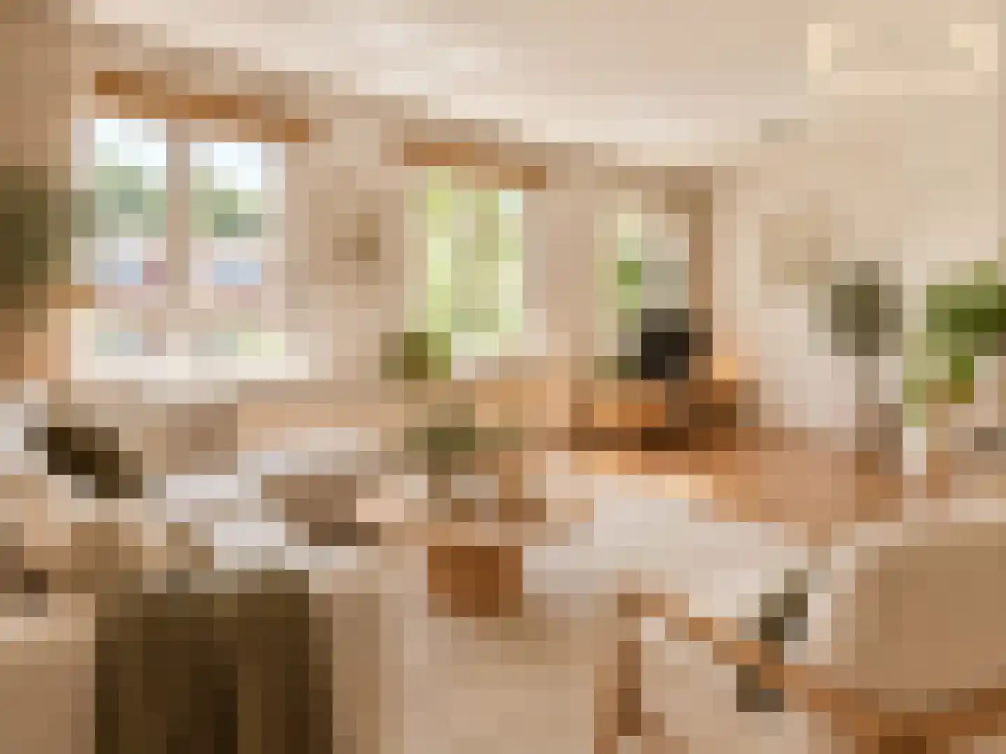 Orteliusstraat 12 2 Amsterdam thumbnail 5