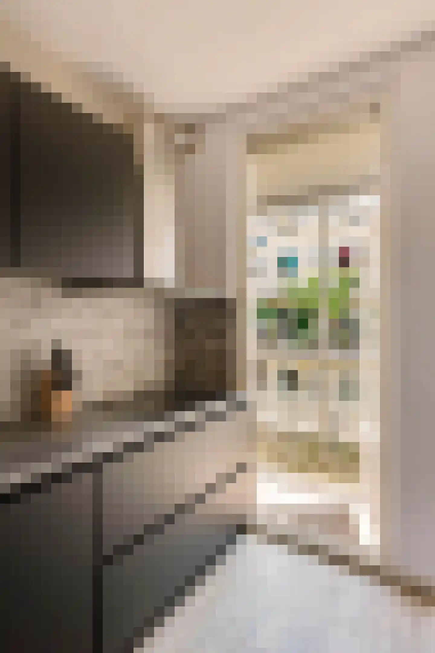 Orteliusstraat 154 2 Amsterdam thumbnail 8