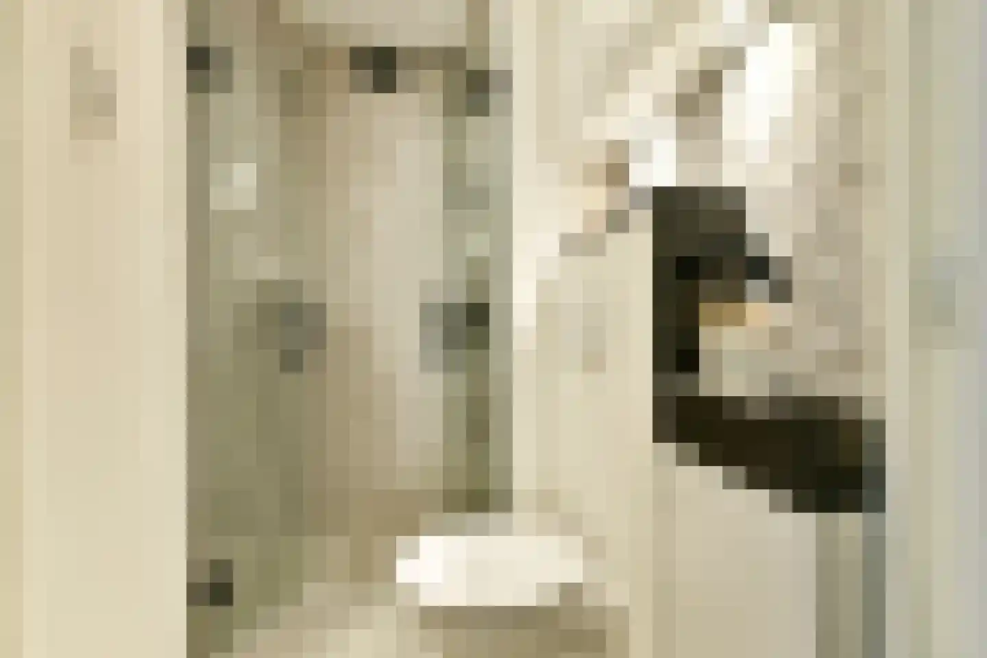 Orteliusstraat 170 3 Amsterdam thumbnail 14