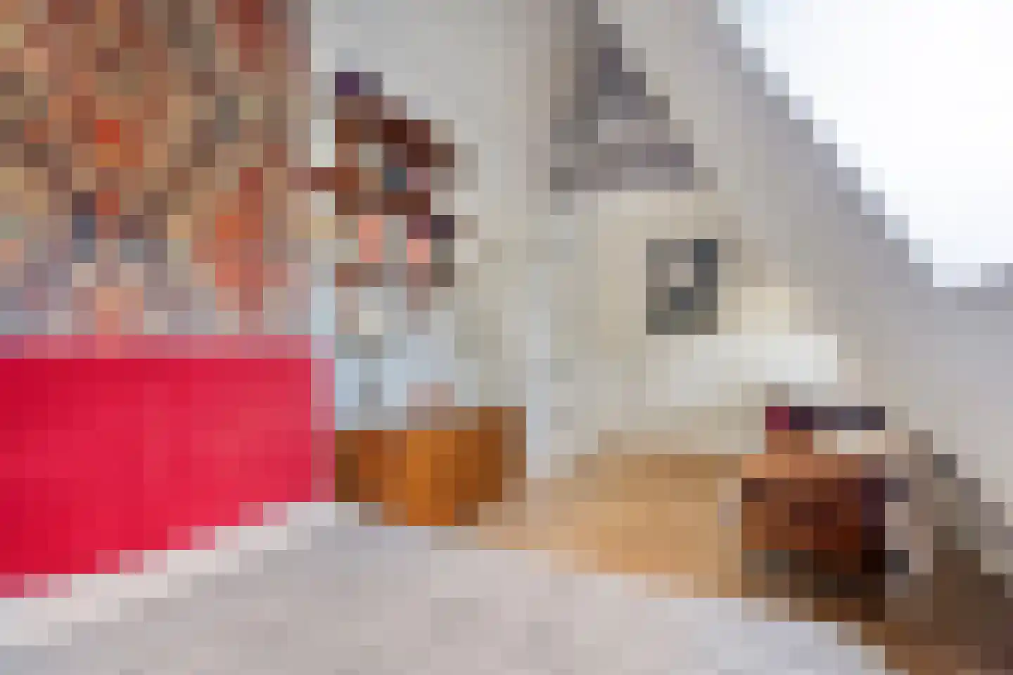Orteliusstraat 18 3 Amsterdam thumbnail 20