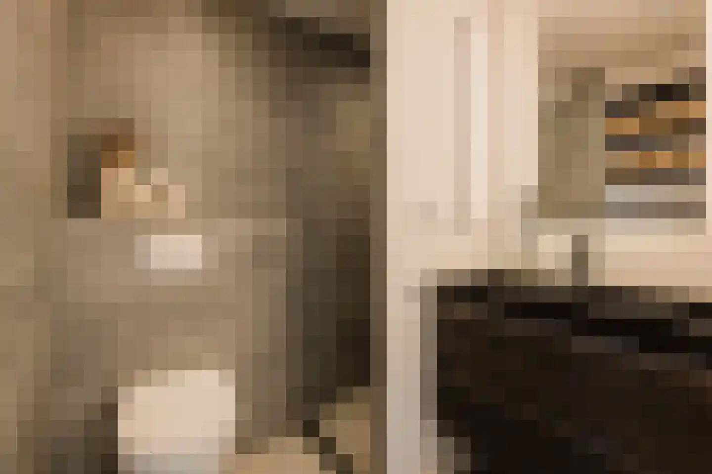 Orteliusstraat 209 1 Amsterdam thumbnail 17