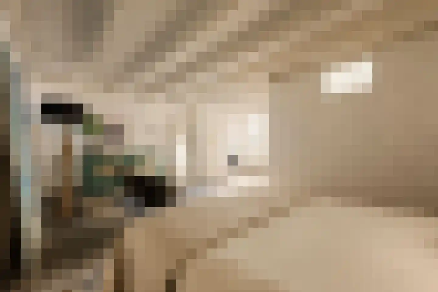 Orteliusstraat 209 1 Amsterdam thumbnail 24