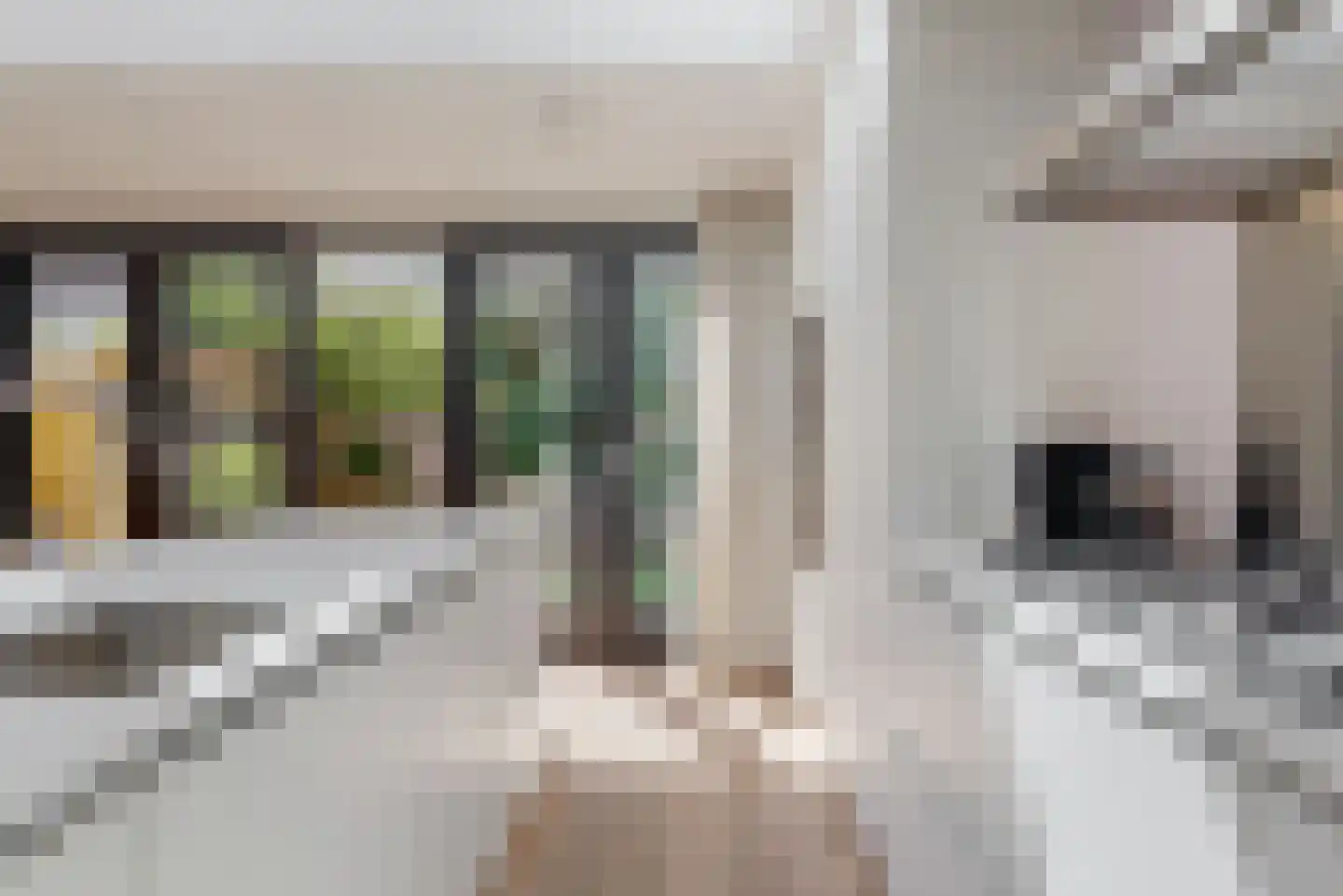 Orteliusstraat 223 2 Amsterdam thumbnail 12