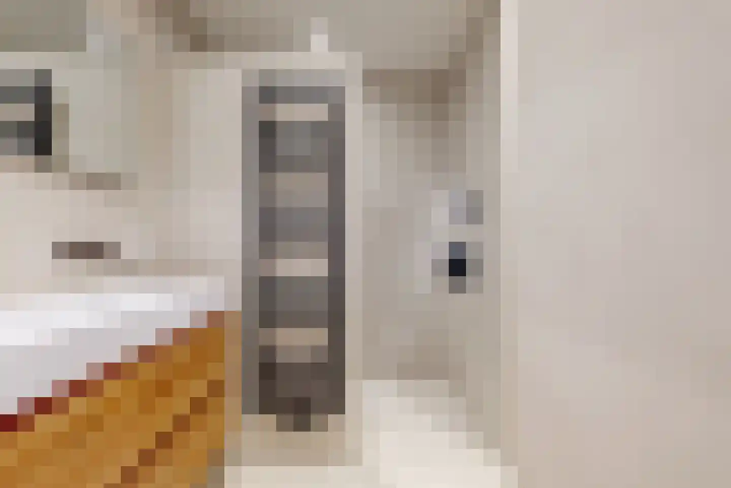 Orteliusstraat 223 2 Amsterdam thumbnail 18