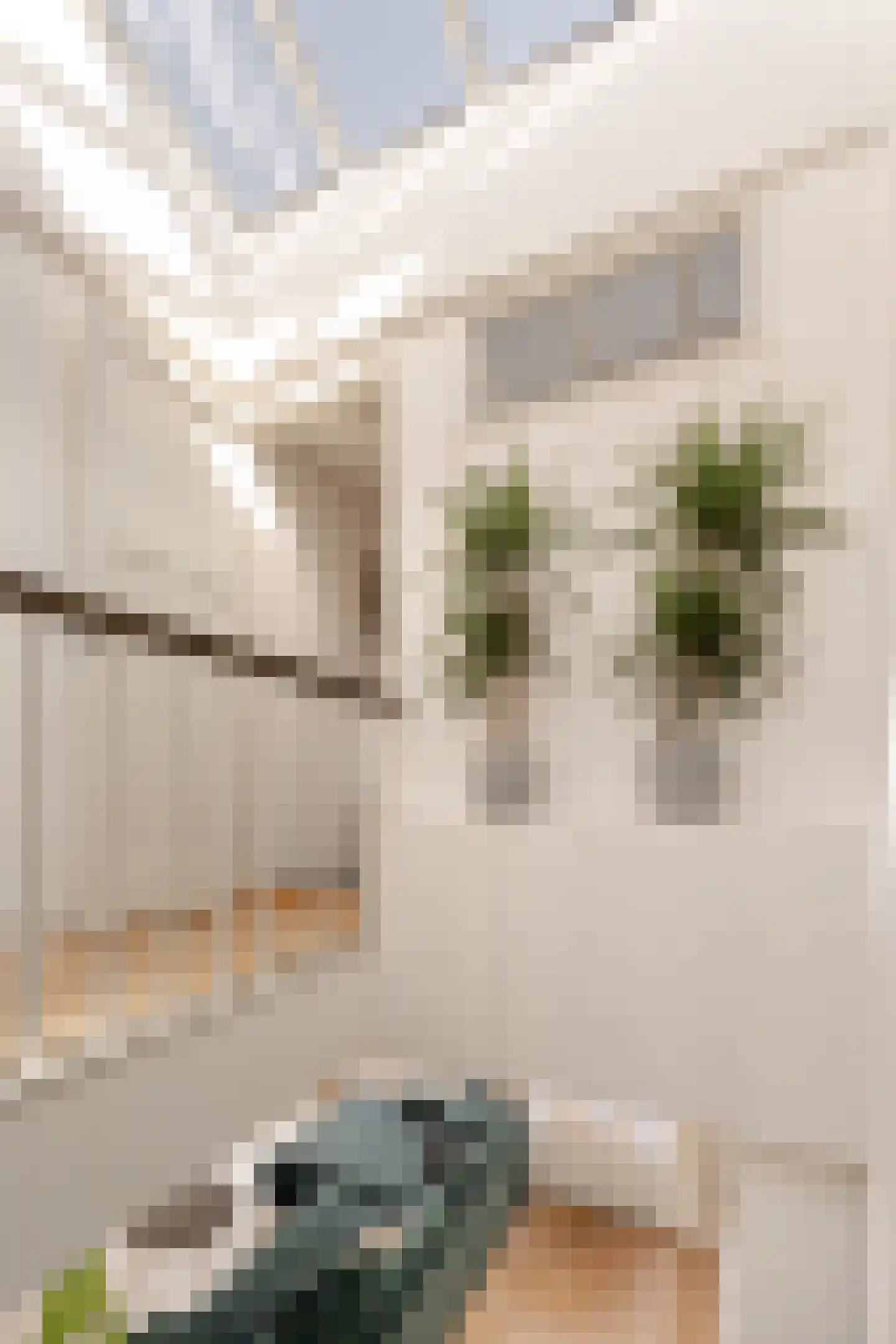 Orteliusstraat 223 3 Amsterdam thumbnail 24