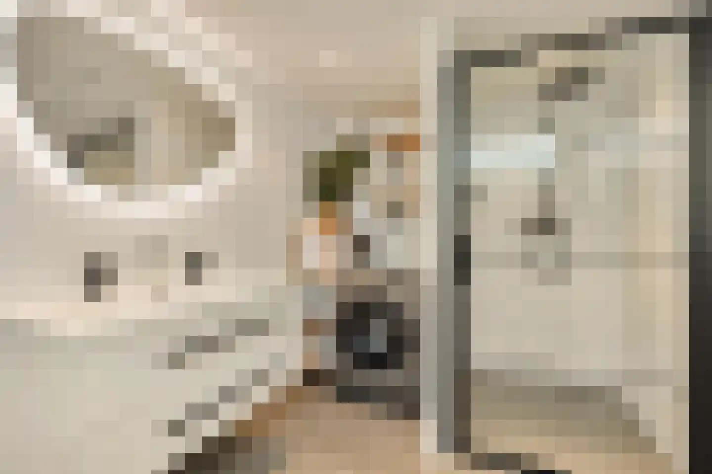 Orteliusstraat 223 3 Amsterdam thumbnail 30