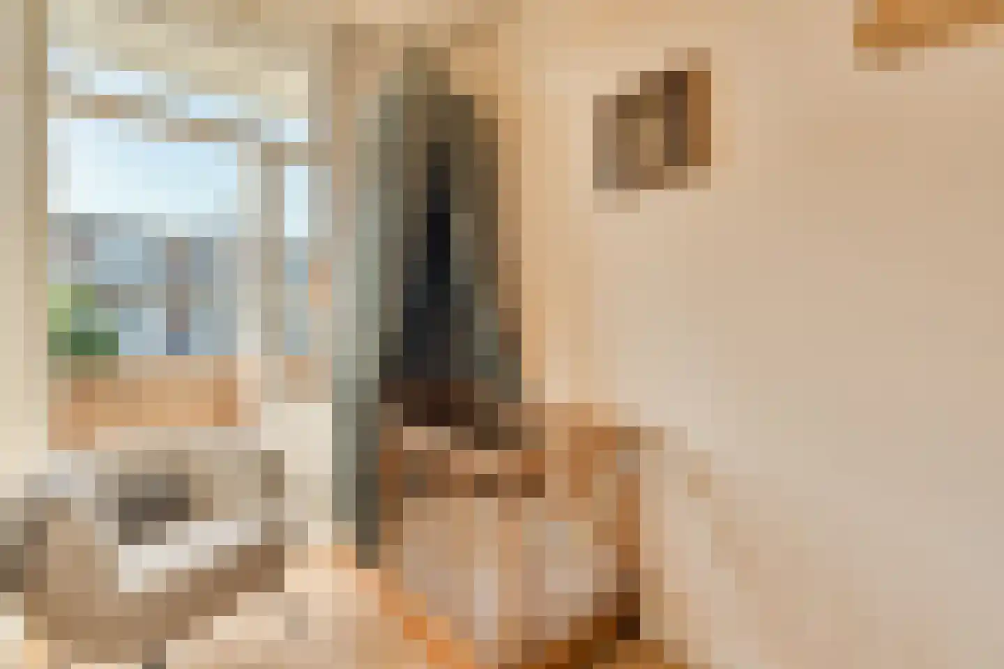 Orteliusstraat 223 3 Amsterdam thumbnail 5