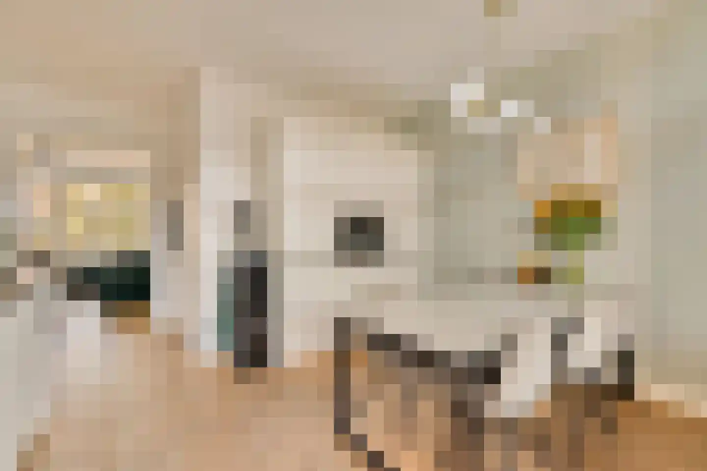 Orteliusstraat 223 3 Amsterdam thumbnail 9