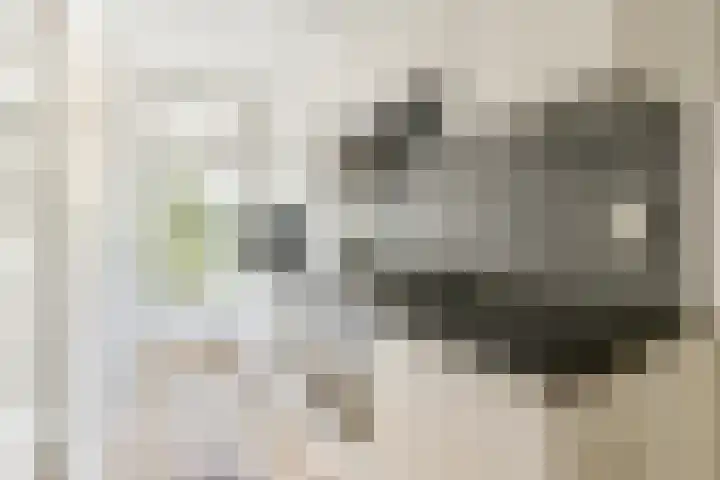 Orteliusstraat 225 2 Amsterdam thumbnail 7