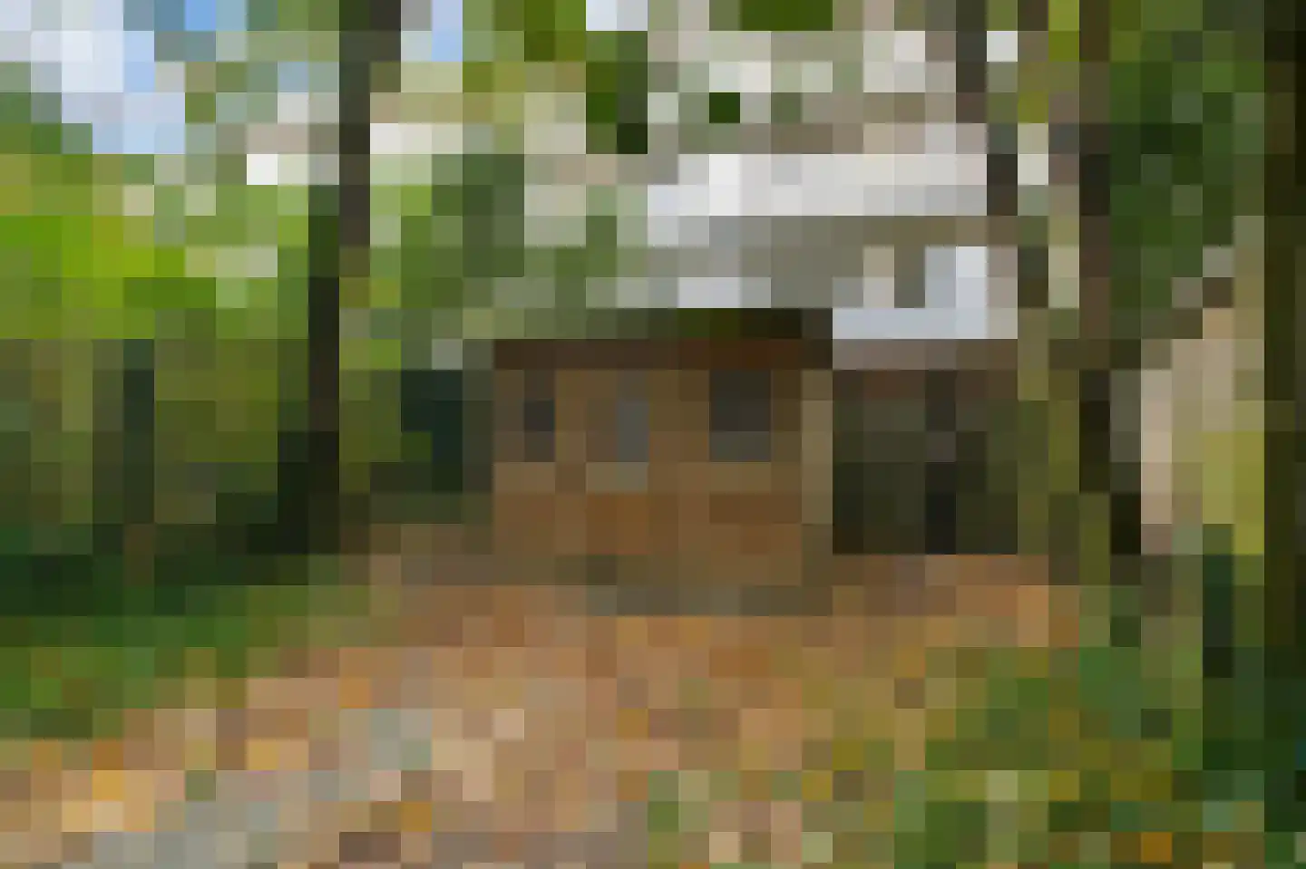 Orteliusstraat 228 1 Amsterdam thumbnail 20