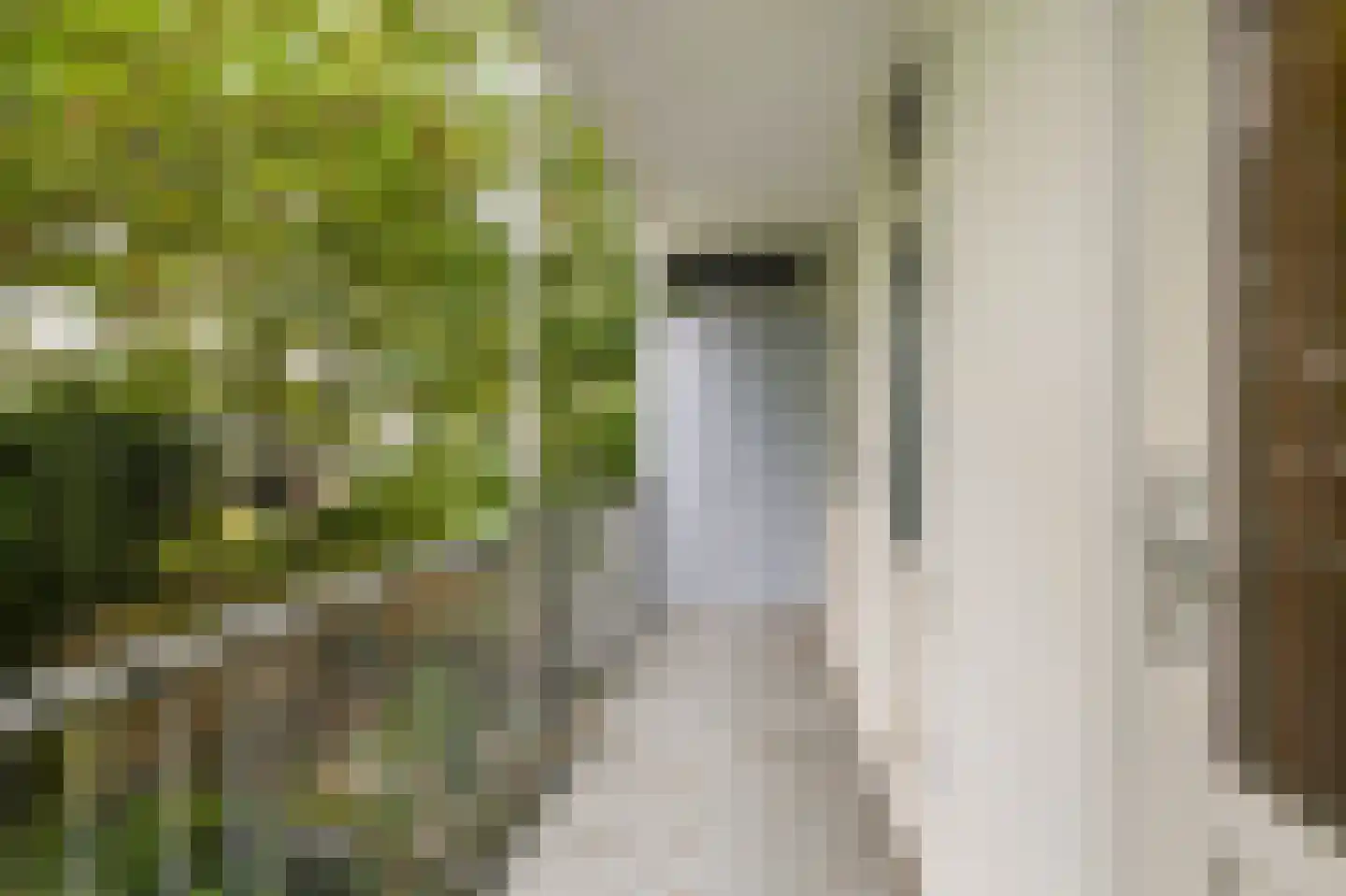 Orteliusstraat 228 1 Amsterdam thumbnail 22