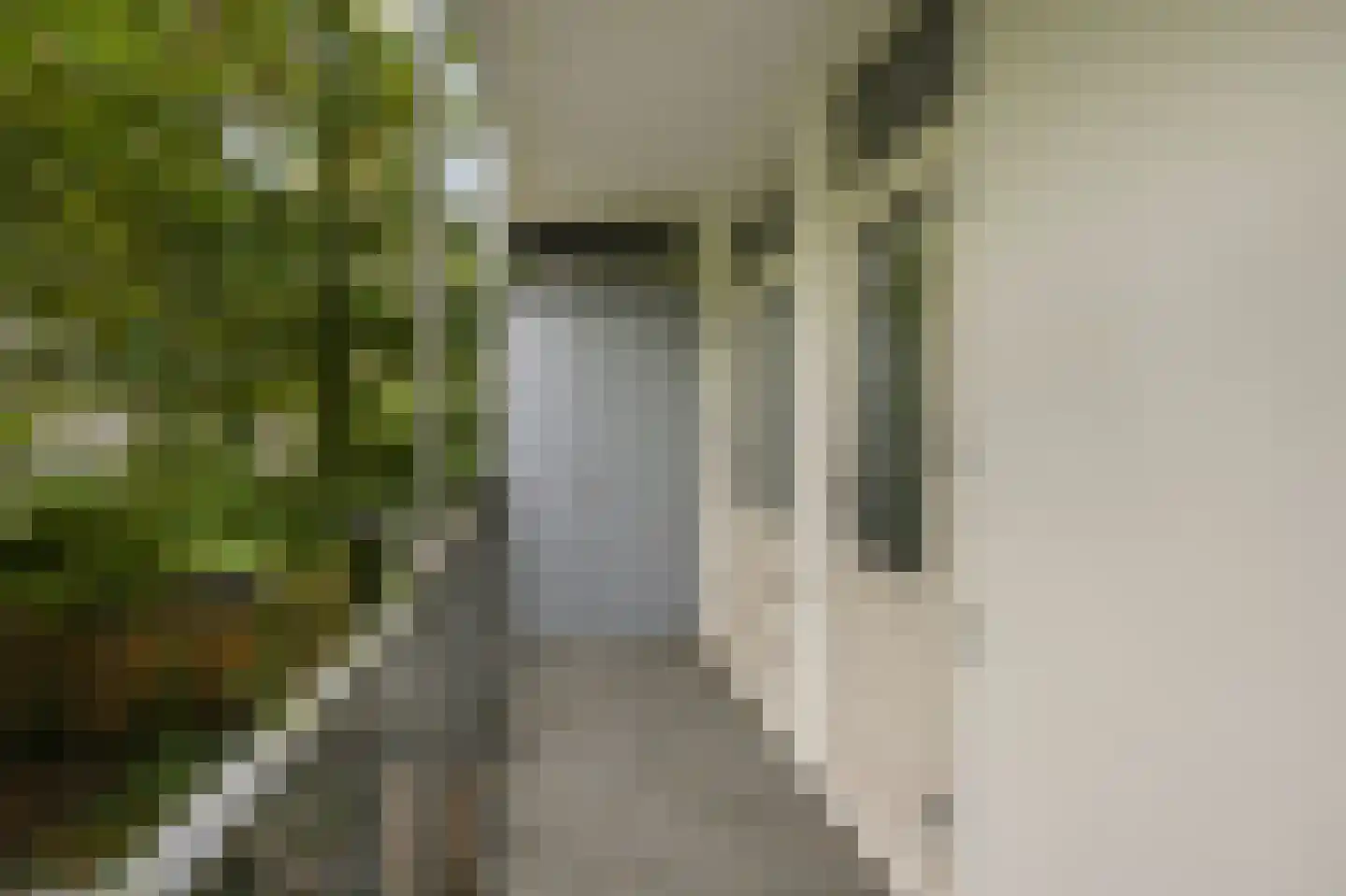 Orteliusstraat 228 1 Amsterdam thumbnail 24