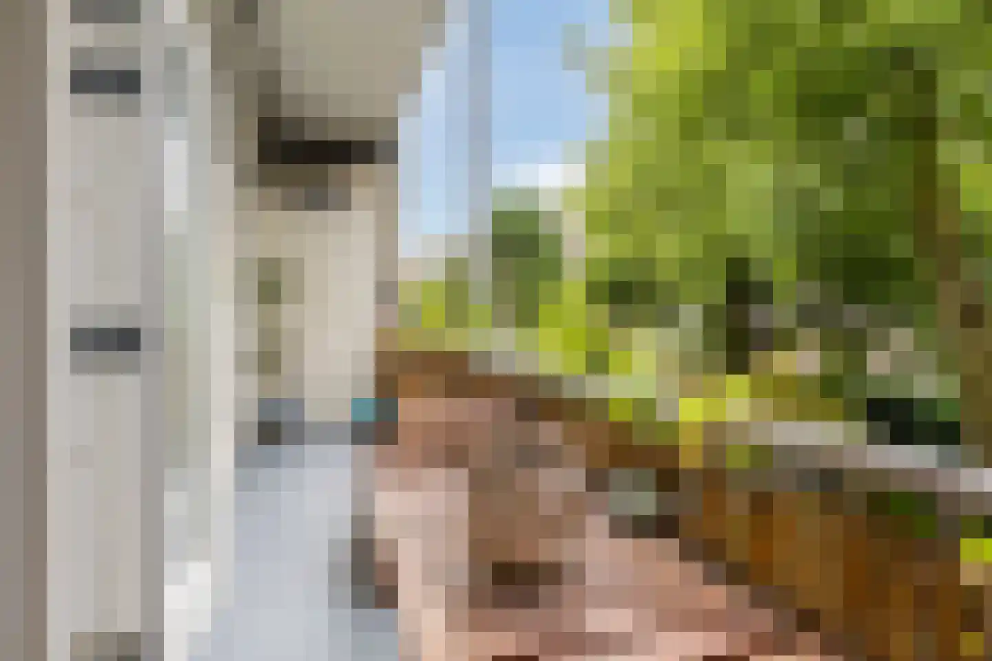 Orteliusstraat 231 1 Amsterdam thumbnail 20