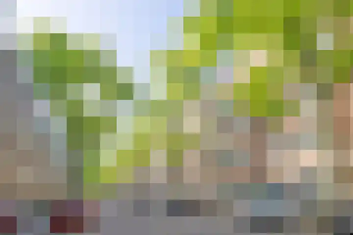 Orteliusstraat 233 3 Amsterdam thumbnail 18