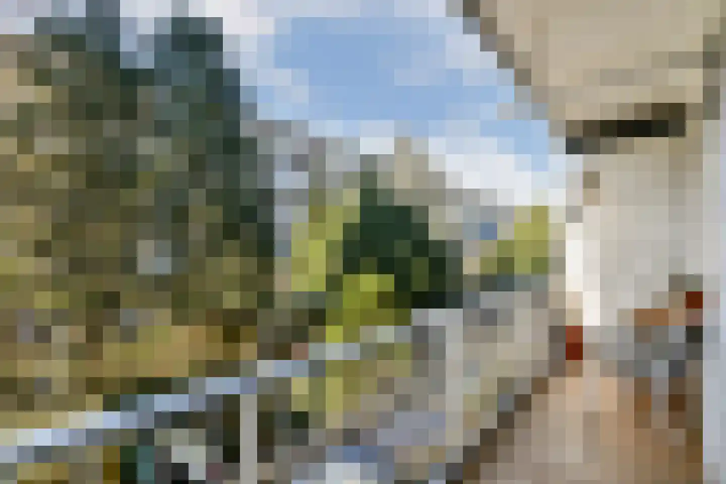 Orteliusstraat 241 2 Amsterdam thumbnail 16