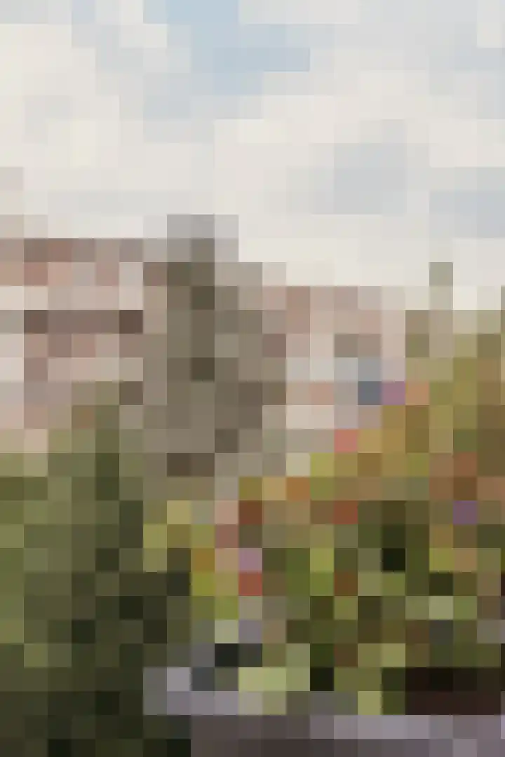 Orteliusstraat 241 3 Amsterdam thumbnail 27
