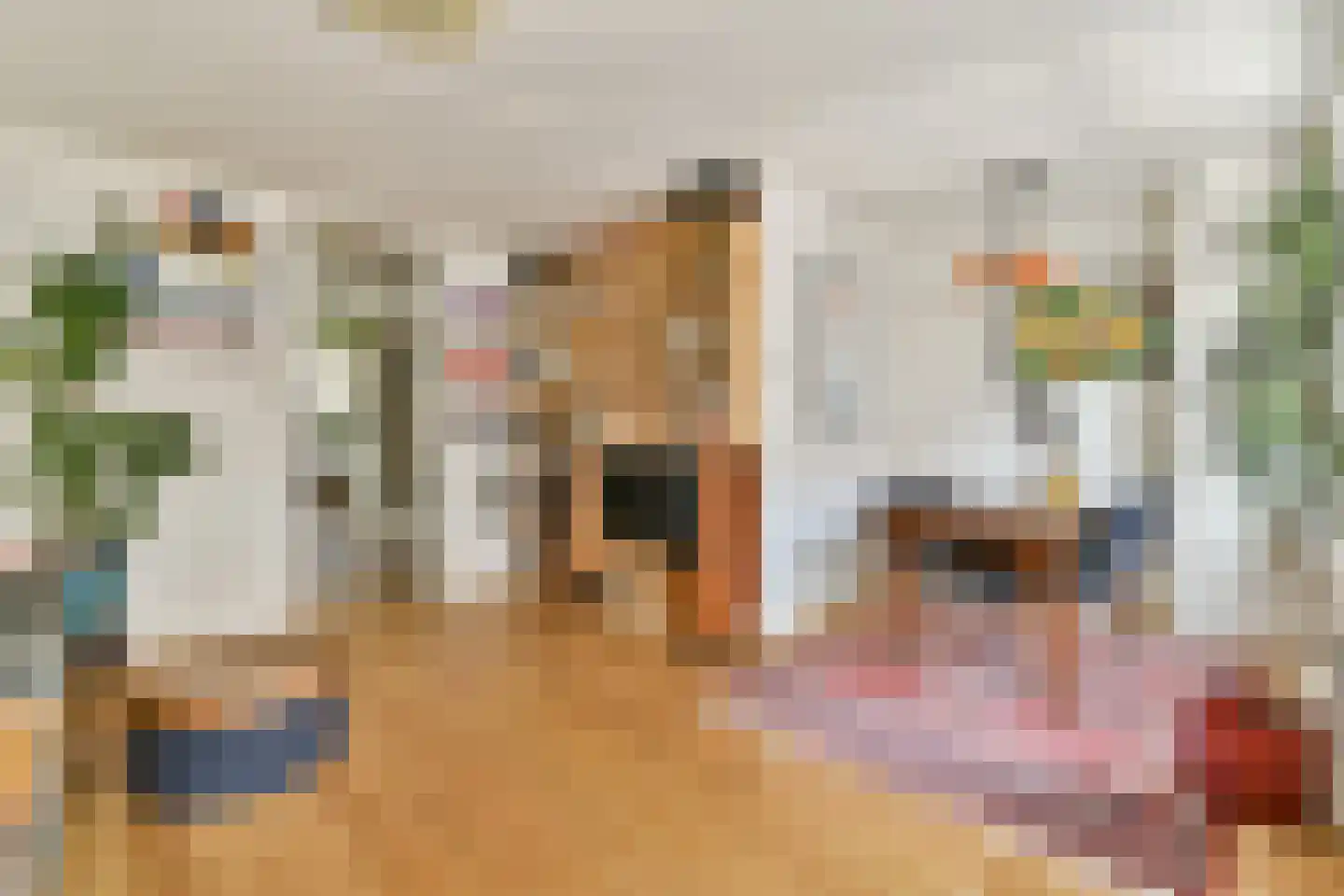 Orteliusstraat 241 H Amsterdam thumbnail 6