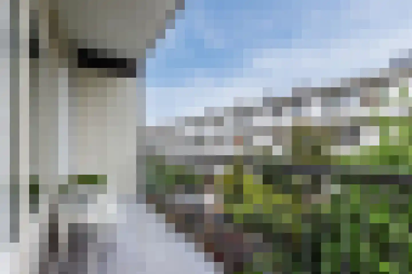 Orteliusstraat 250 H Amsterdam thumbnail 16