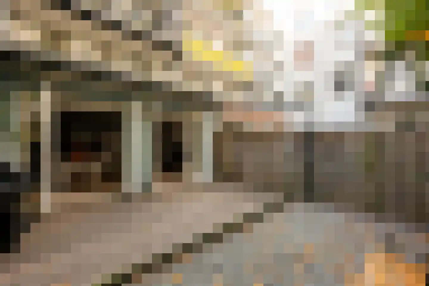 Orteliusstraat 278 H Amsterdam thumbnail 10
