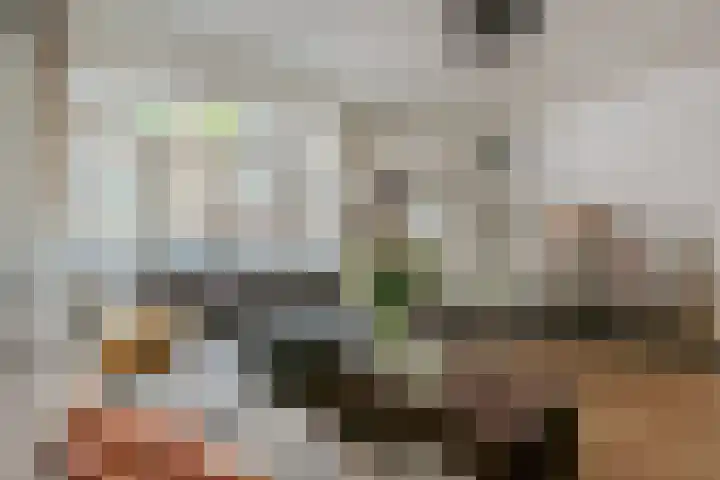 Orteliusstraat 279 2 Amsterdam thumbnail 7