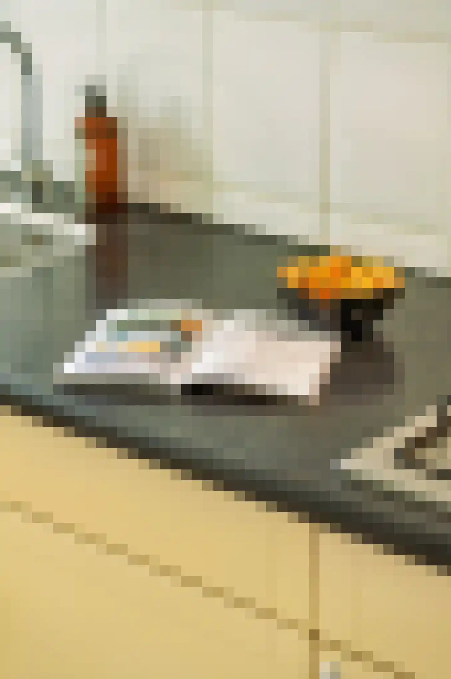 Orteliusstraat 287 2 Amsterdam thumbnail 14