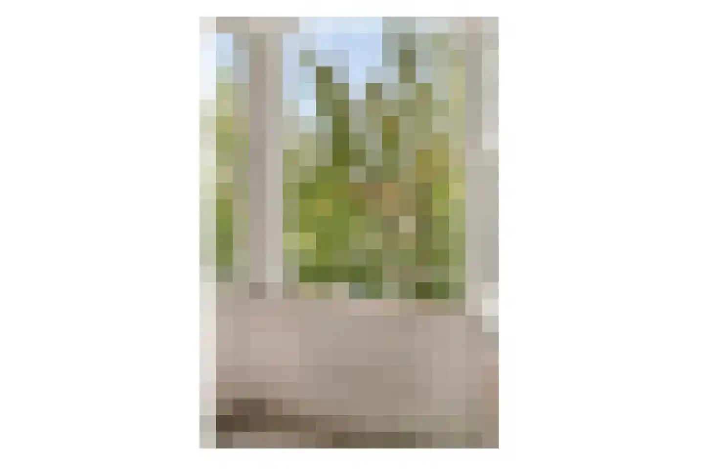 Orteliusstraat 295 2 Amsterdam thumbnail 13