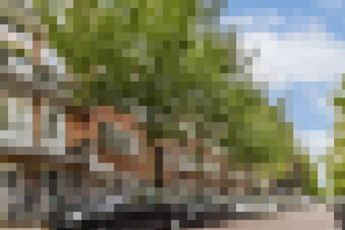 Orteliusstraat 295 2 Amsterdam thumbnail 18