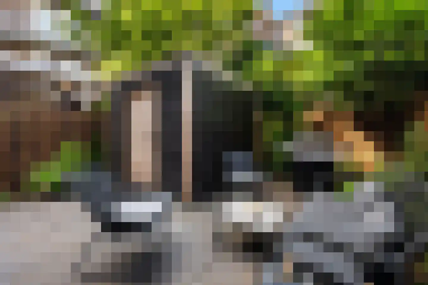 Orteliusstraat 295 H Amsterdam thumbnail 8
