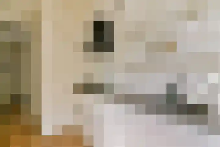 Orteliusstraat 300 1 Amsterdam thumbnail 10