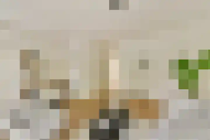 Orteliusstraat 300 1 Amsterdam thumbnail 8
