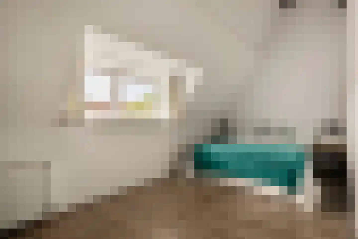 Orteliusstraat 314 2 Amsterdam thumbnail 16
