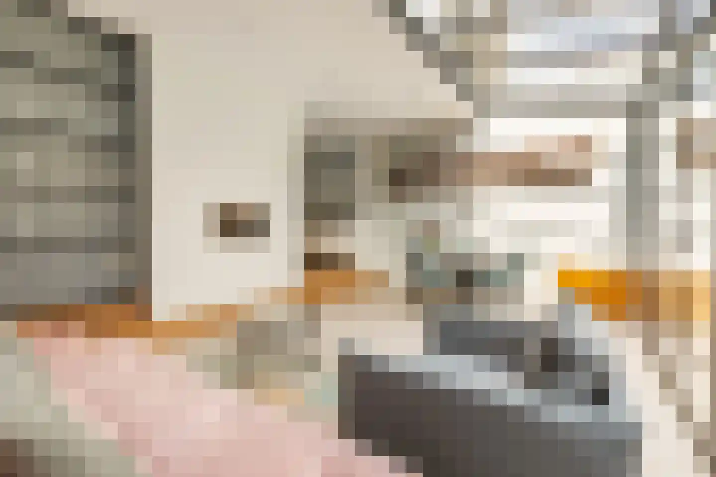 Orteliusstraat 32 2 Amsterdam thumbnail 10
