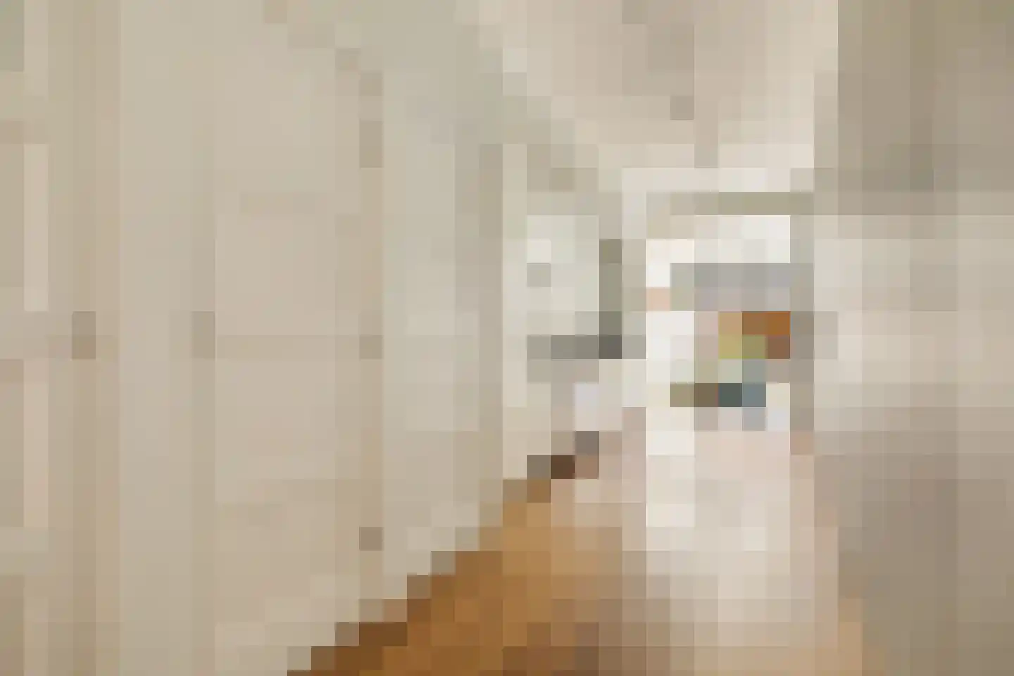 Orteliusstraat 32 2 Amsterdam thumbnail 14