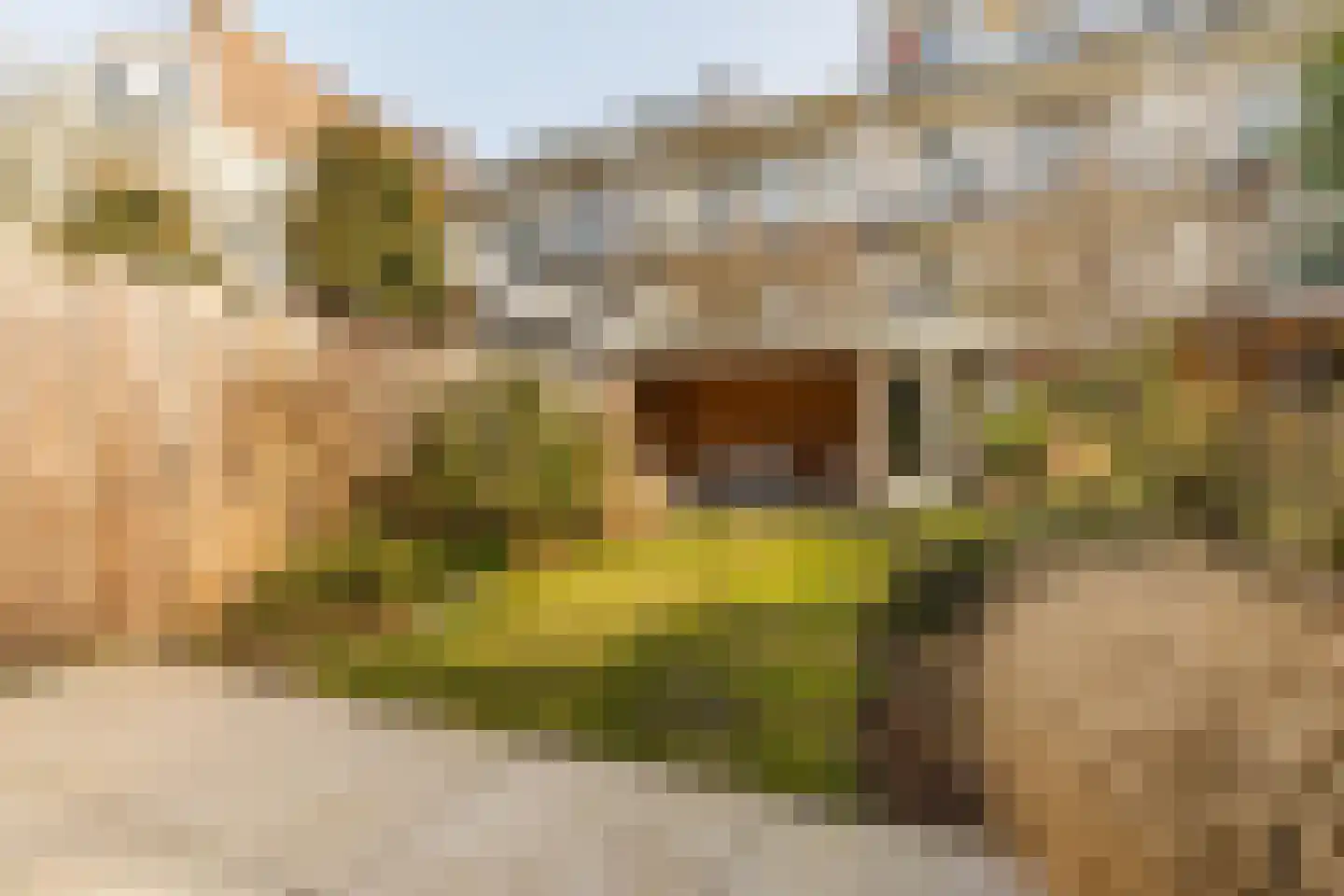 Orteliusstraat 32 2 Amsterdam thumbnail 30
