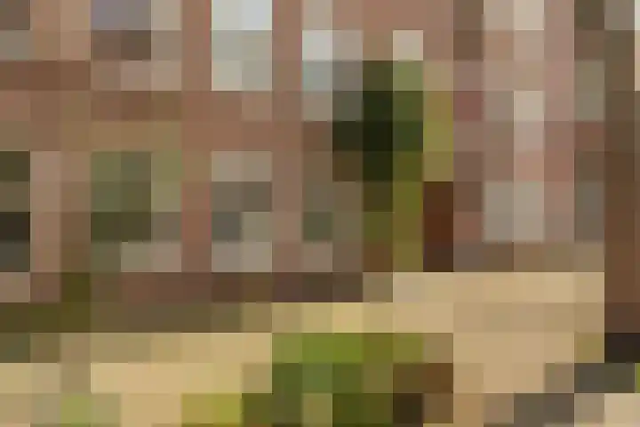 Orteliusstraat 32 2 Amsterdam thumbnail 36