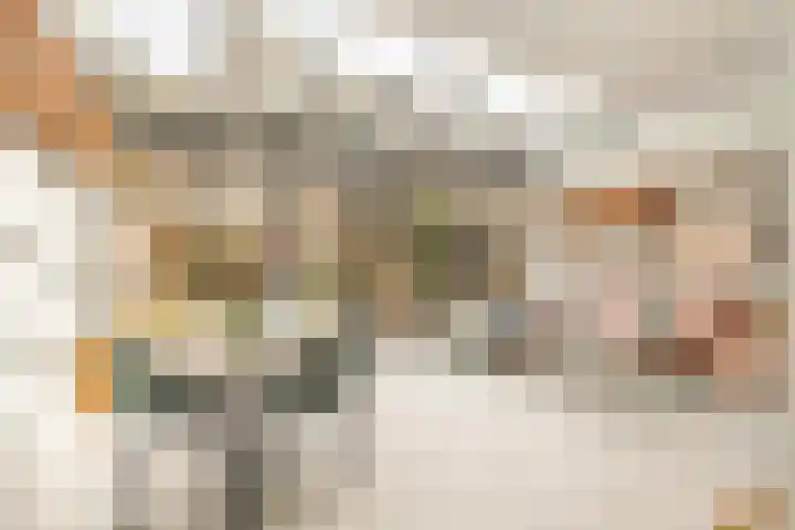 Orteliusstraat 32 2 Amsterdam thumbnail 5