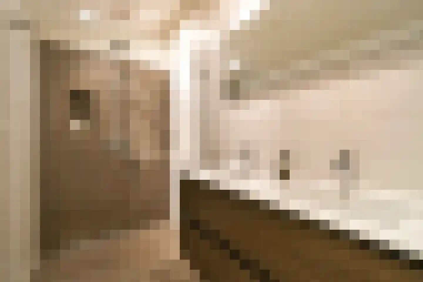 Orteliusstraat 364 2 Amsterdam thumbnail 23