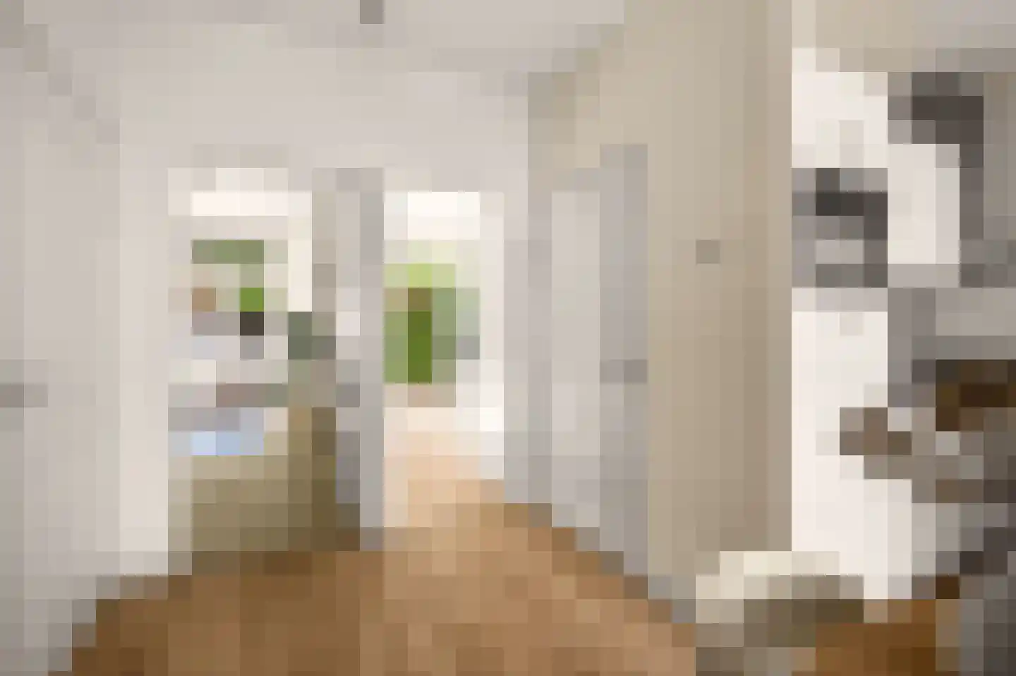Orteliusstraat 368 1 Amsterdam thumbnail 10