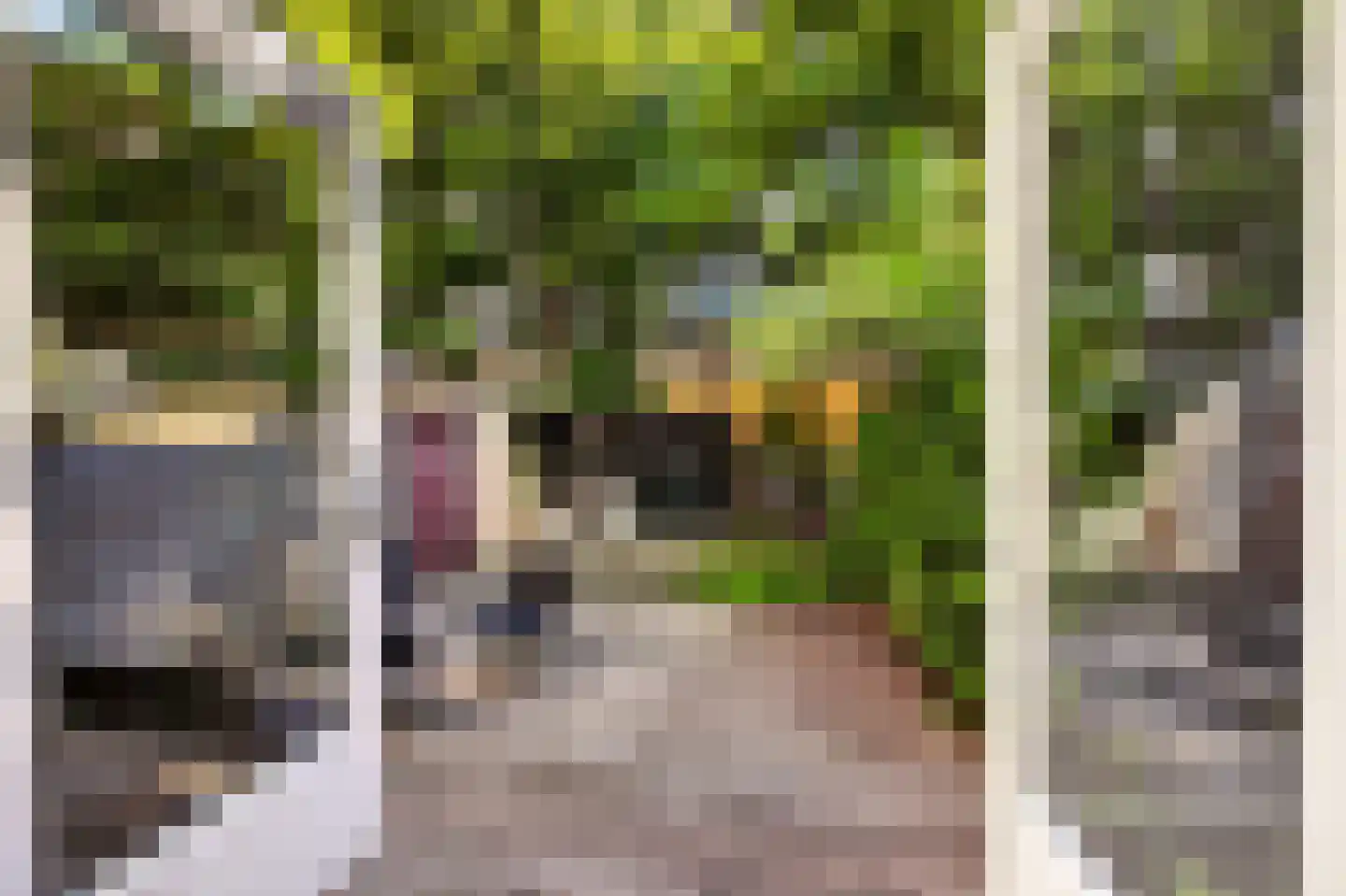 Orteliusstraat 368 2 Amsterdam thumbnail 15