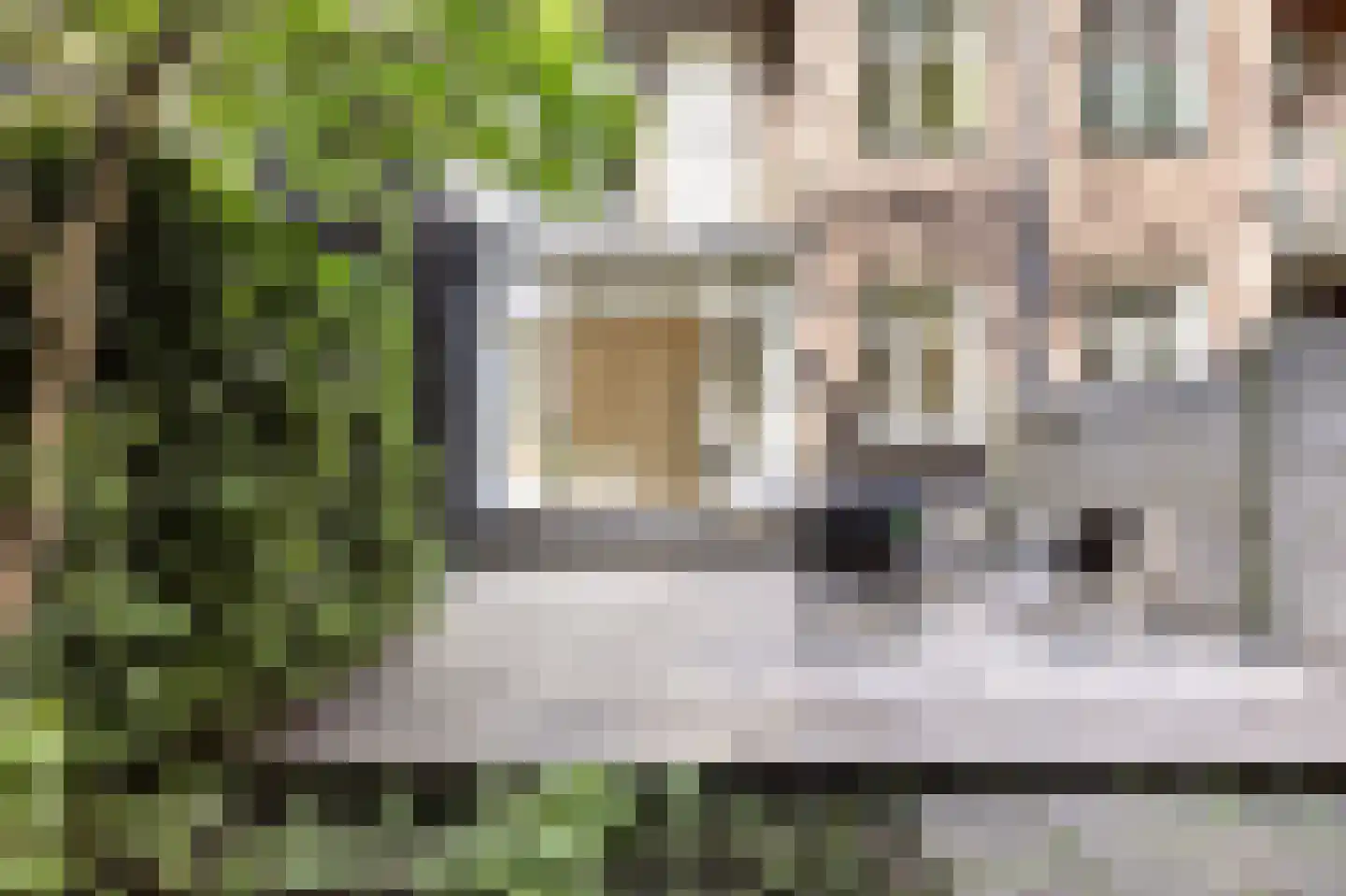 Orteliusstraat 368 2 Amsterdam thumbnail 17